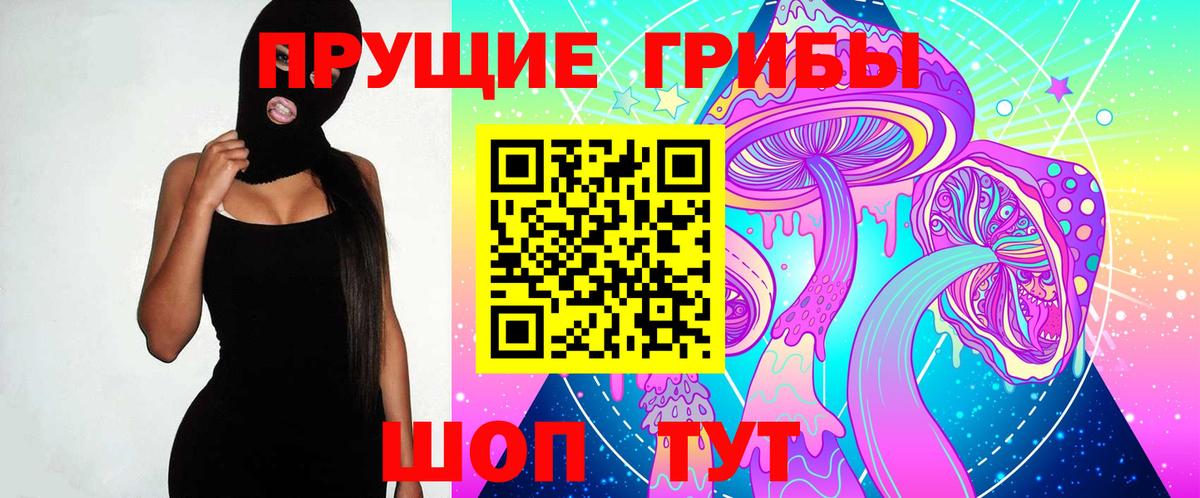 Псилоцибиновые грибы Cubensis Хасавюрт