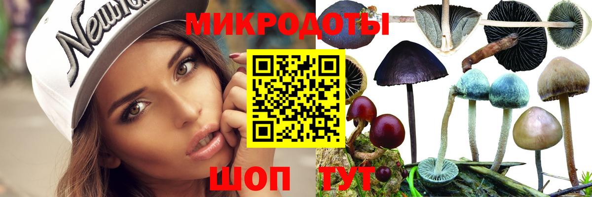 Псилоцибиновые грибы Psilocybine cubensis  Псилоцибиновые грибы MAGIC MUSHROOMS  Вход с VPN  Хасавюрт 